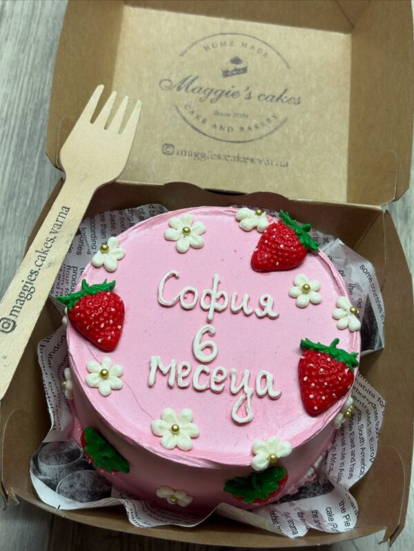 539079351_18051555749566112_5351502158762925674_n БЕНТО СЕМПТЪЛ ДИЗАЙН